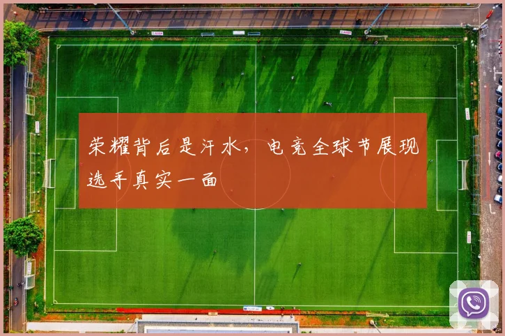 荣耀背后是汗水,电竞全球节展现选手真实一面