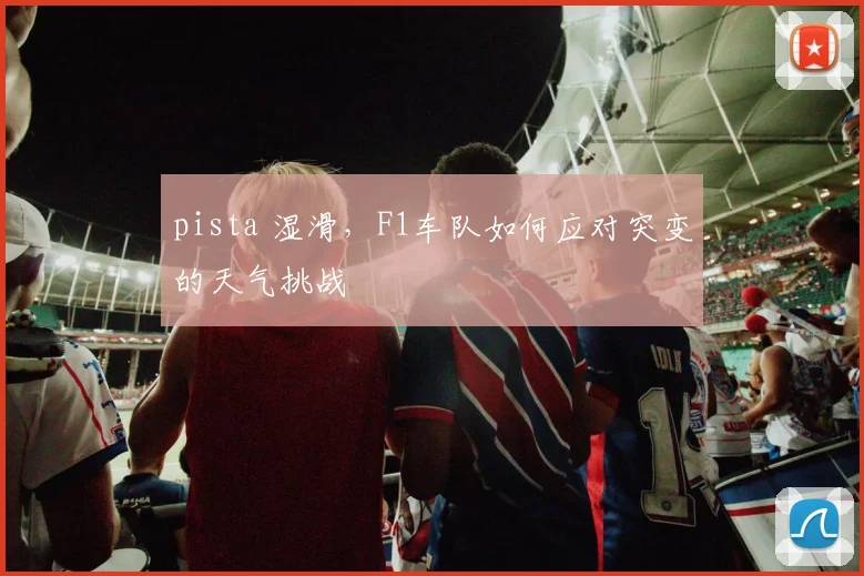 pista 湿滑,F1车队如何应对突变的天气挑战